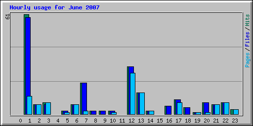 Hourly usage for June 2007