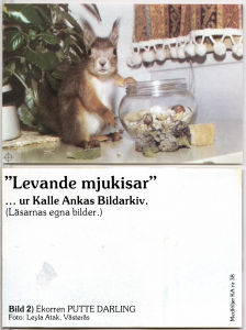 Levande Mjukisar